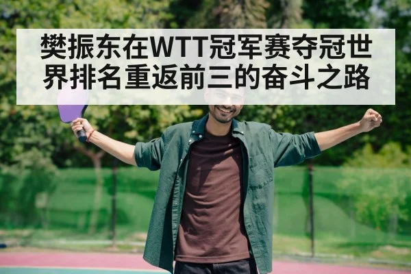 樊振东在WTT冠军赛夺冠世界排名重返前三的奋斗之路