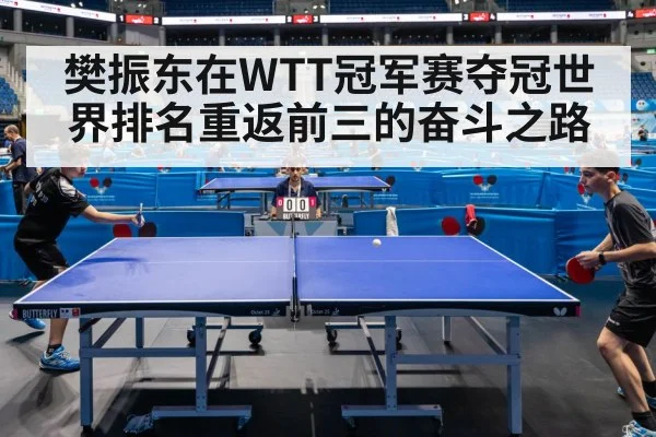 table tennis match action